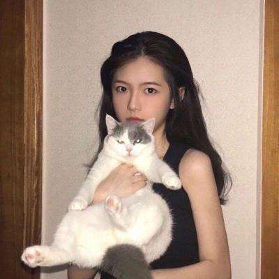 装备英雄正式版下载